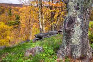 Along the Skyline Parkway-8872.jpg Along the Skyline Parkway-8872.jpg